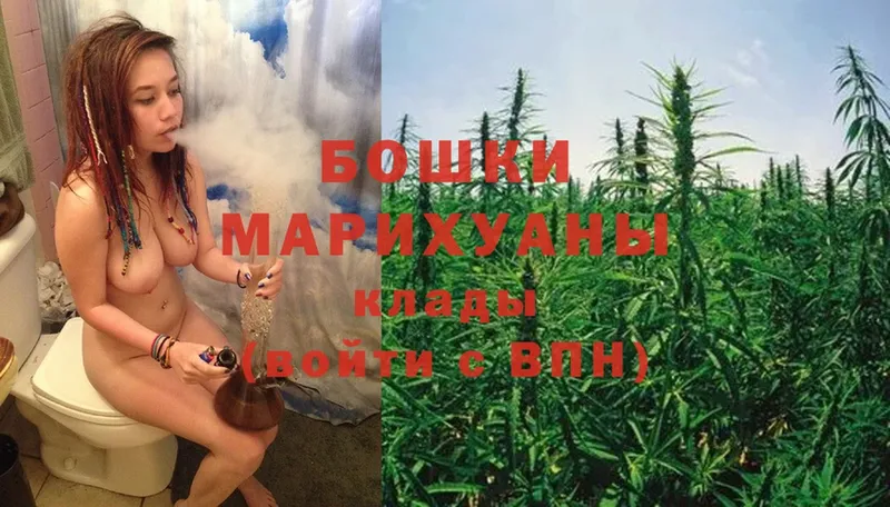 даркнет сайт  Зеленогорск  Бошки марихуана Ganja 